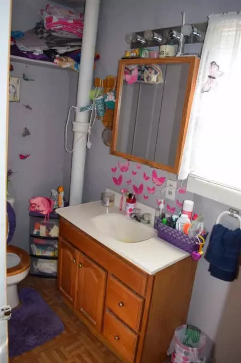 314 N Main, Munith, MI 49259 photo 8