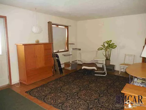 654 First, Dundee, MI 48131 photo 16
