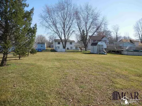 654 First, Dundee, MI 48131 photo 3