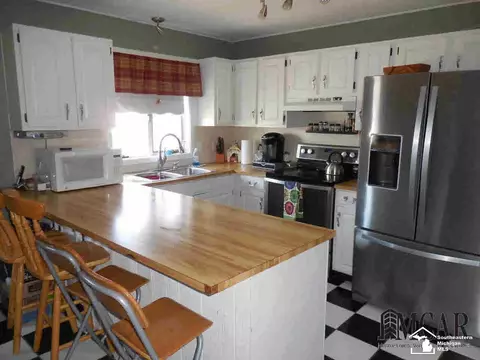 654 First, Dundee, MI 48131 photo 8