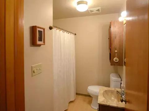 1855 W Argyle, Jackson, MI 49202 photo 10