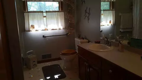7921 King, Spring Arbor, MI 49283 photo 34