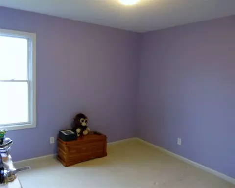 421 Constitution, Brooklyn, MI 49230 photo 18