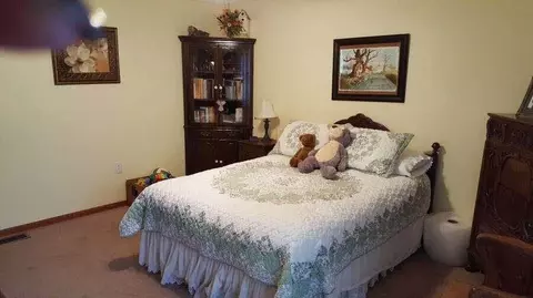 11892 Dublin, Jerome, MI 49249 photo 9