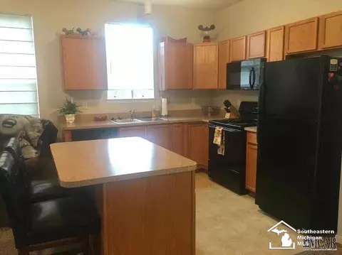 501 Depot, Monroe, MI 48161 photo 7