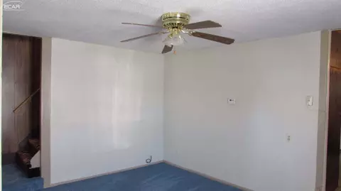 205 E Vienna, Clio, MI 48420 photo 4