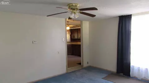 205 E Vienna, Clio, MI 48420 photo 5
