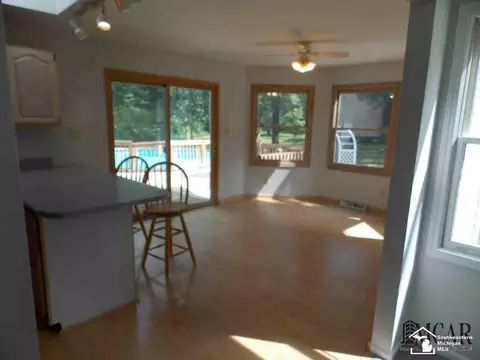 3805 Douglas, Ida, MI 48140 photo 9