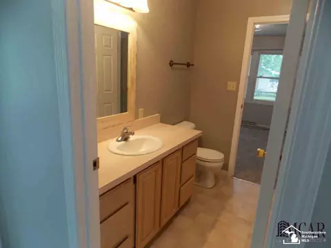 3805 Douglas, Ida, MI 48140 photo 28