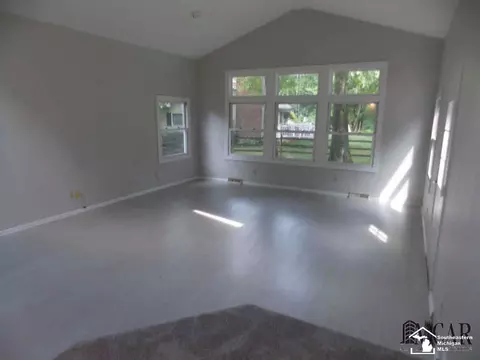 3805 Douglas, Ida, MI 48140 photo 13