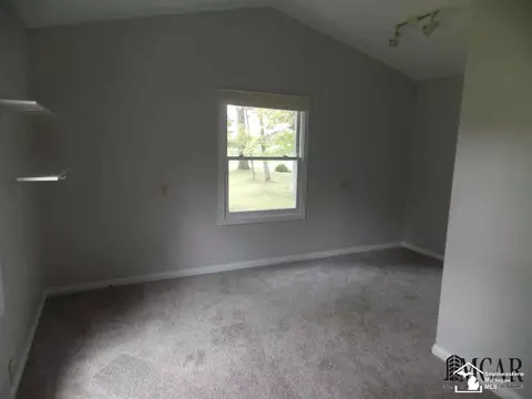 3805 Douglas, Ida, MI 48140 photo 22