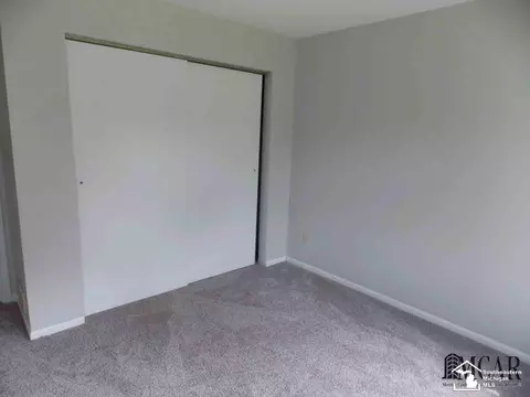 3805 Douglas, Ida, MI 48140 photo 25