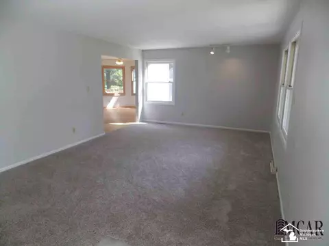 3805 Douglas, Ida, MI 48140 photo 7