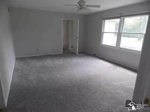 3805 Douglas, Ida, MI 48140 photo 15