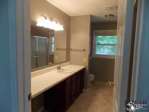 3805 Douglas, Ida, MI 48140 photo 18