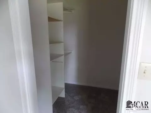3805 Douglas, Ida, MI 48140 photo 23