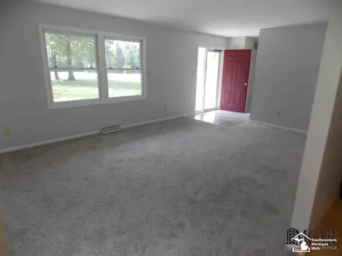 3805 Douglas, Ida, MI 48140 photo 6