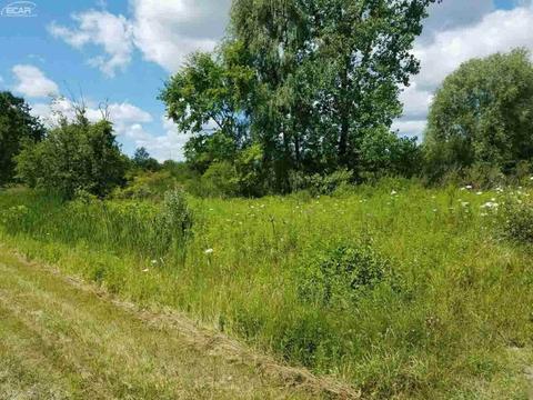6311 Scott Rd, Mount Morris, MI 48458 photo 2