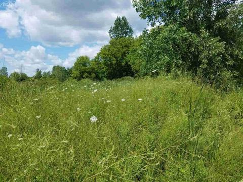6311 Scott Rd, Mount Morris, MI 48458 photo 6