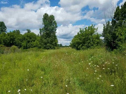 6311 Scott Rd, Mount Morris, MI 48458 photo 1