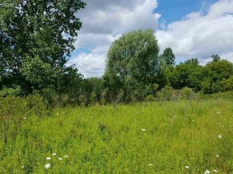 6311 Scott Rd, Mount Morris, MI 48458 photo 4