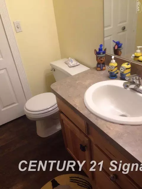 302 N Maple, Flushing, MI 48433 photo 26