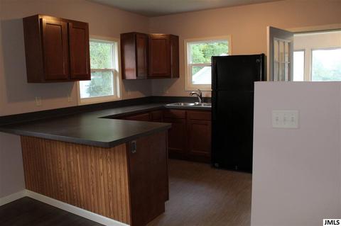 207 W Palmer Dr, Jackson, MI 49203 photo 10