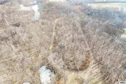 3019 Blackman Rd, Jackson, MI 49201 photo 33