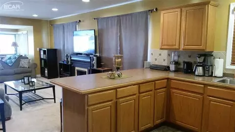 10124 Frances, Flushing, MI 48433 photo 10