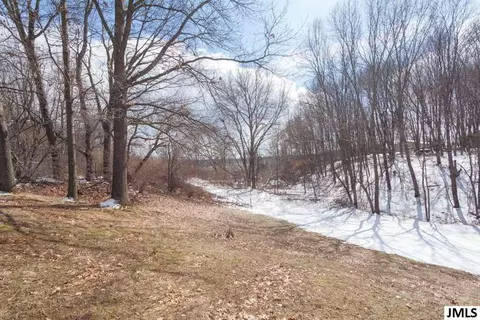 6471 Ellen Ln, Jackson, MI 49201 photo 34