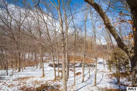 6471 Ellen Ln, Jackson, MI 49201 photo 31