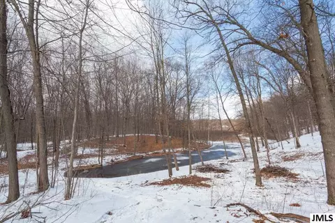 6471 Ellen Ln, Jackson, MI 49201 photo 5