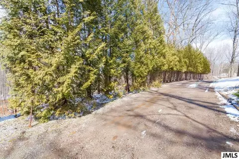 6471 Ellen Ln, Jackson, MI 49201 photo 33