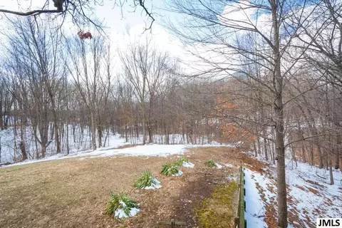 6471 Ellen Ln, Jackson, MI 49201 photo 30