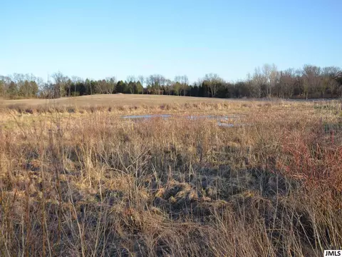 11999 Waterloo Munith Rd, Munith, MI 49259 photo 9