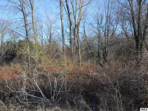 11999 Waterloo Munith Rd, Munith, MI 49259 photo 4