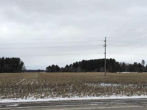 17000 Gratiot Rd, Hemlock, MI 48626 photo 1