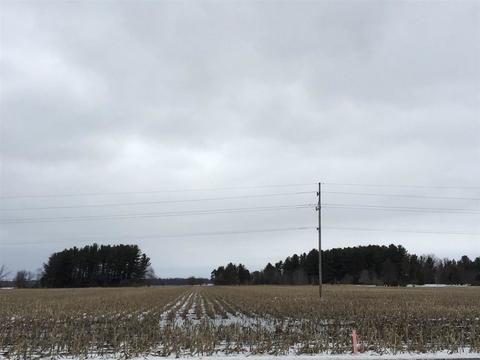 17000 Gratiot Rd, Hemlock, MI 48626 photo 5