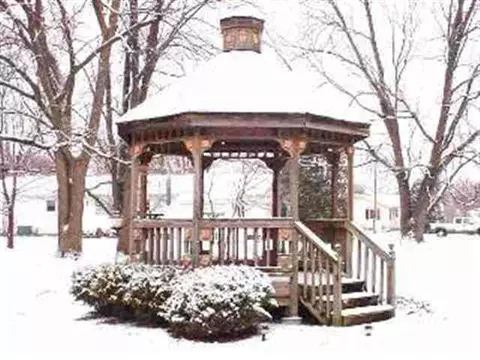 563 N Main, Dundee, MI 48131 photo 10