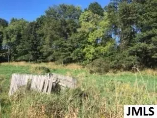 9190 Kinch Rd, Jackson, MI 49201 photo 5