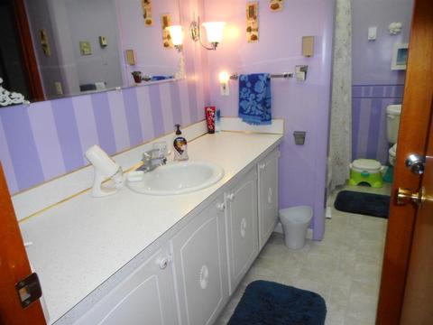 4229 Sheridan Ave, Flushing, MI 48433 photo 14