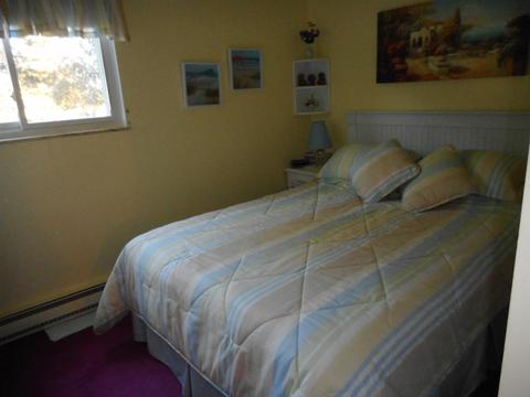 4229 Sheridan Ave, Flushing, MI 48433 photo 16