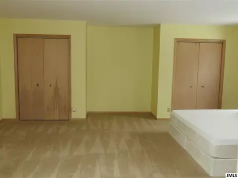 9900 Page Ave, Jackson, MI 49201 photo 21