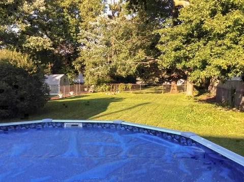 1003 State St, Owosso, MI 48867 photo 4