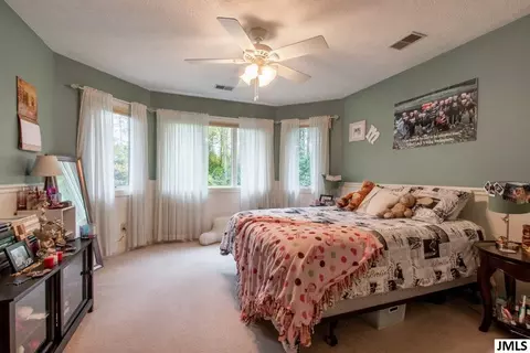 4922 Country Ln, Jackson, MI 49201 photo 26