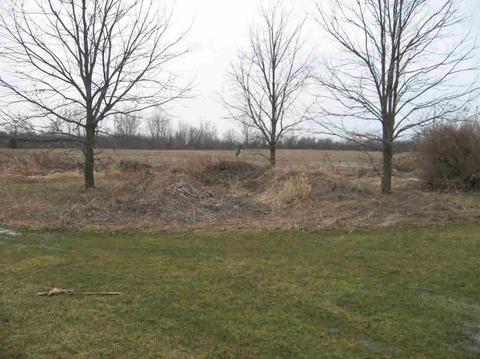 10216 E Potter Rd, Davison, MI 48423 photo 58