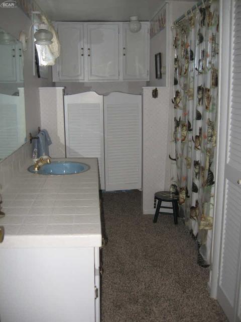 10216 E Potter Rd, Davison, MI 48423 photo 69