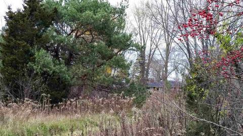6194 E Pierson Rd, Other, MI 48506 photo 23