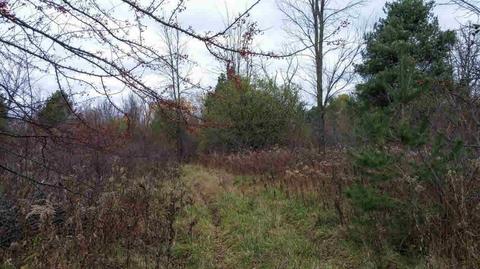 6194 E Pierson Rd, Other, MI 48506 photo 2