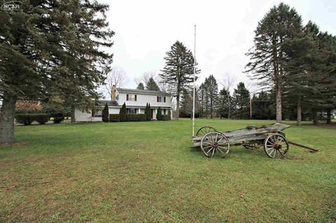 7270 N Webster Rd, Mt Morris, MI 48458 photo 15
